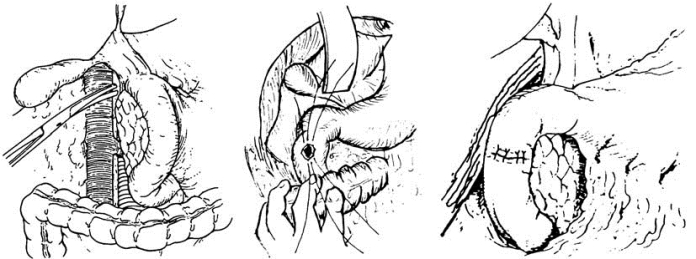 pagenumber_ebook=564,pagenumber_book=549