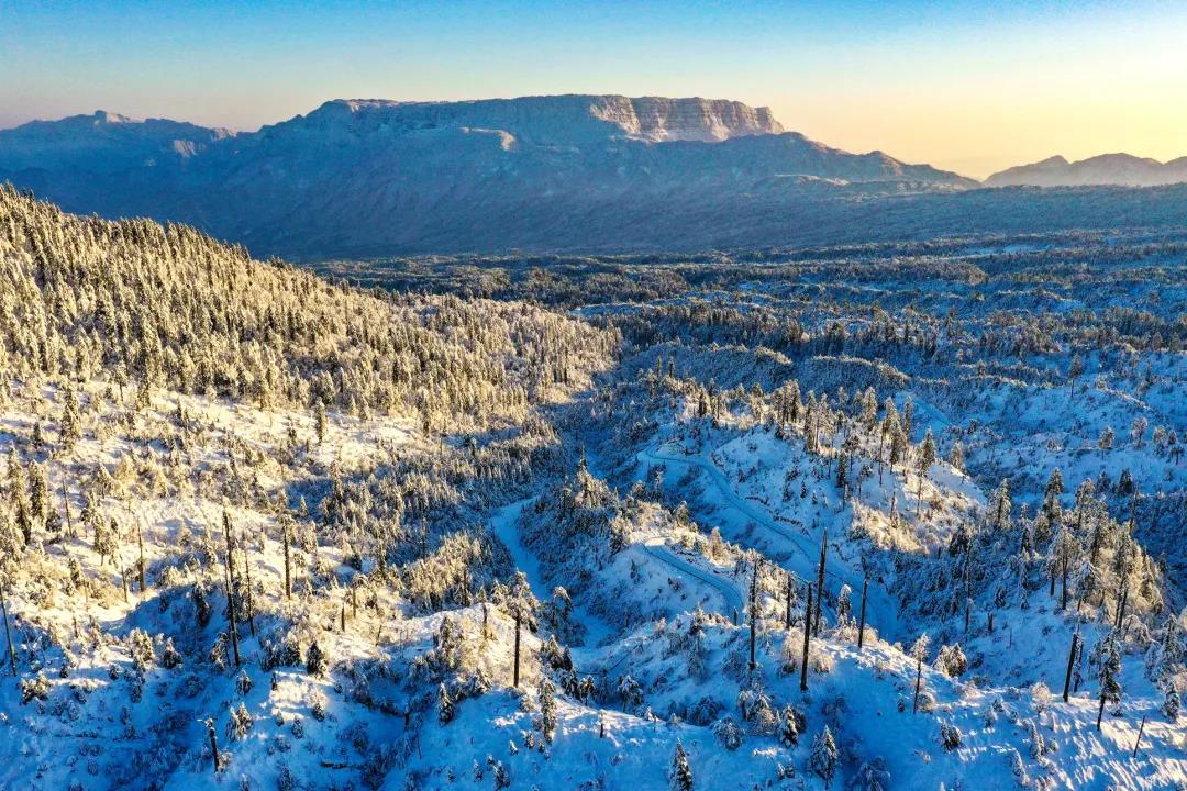 微信图片_20210118161046