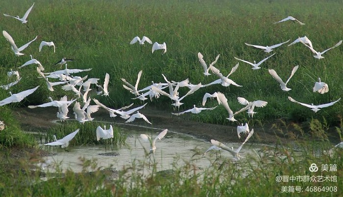 微信图片_20201016152027