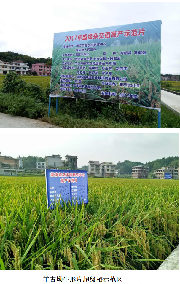 1732340878603 1732340878603.png