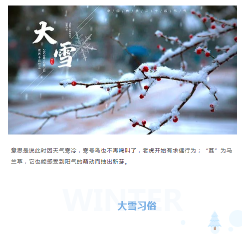 image.png?v=1750226779753