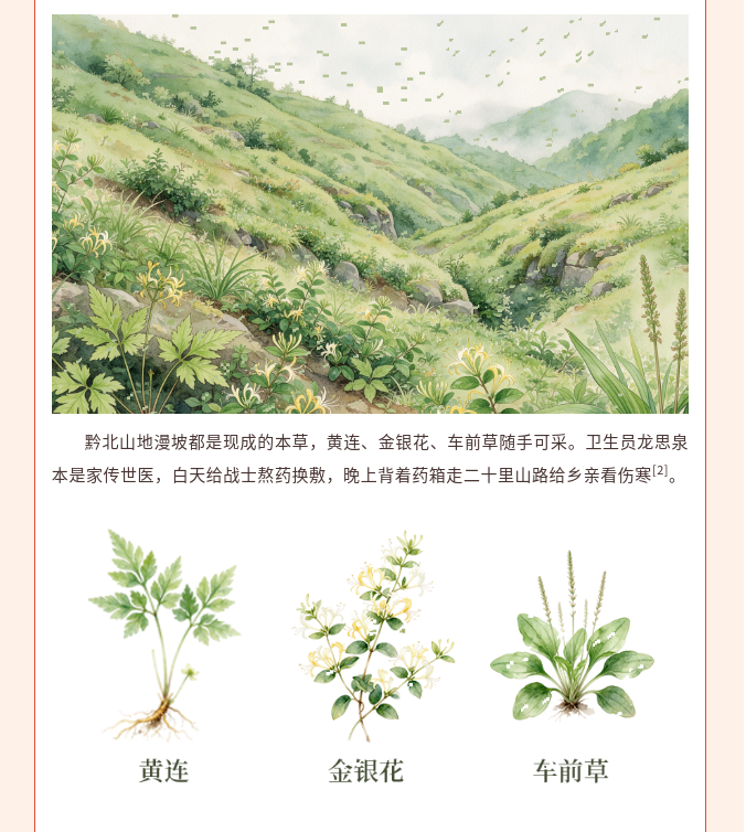 image.png?v=1792101750211