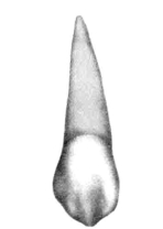 pagenumber_ebook=28,pagenumber_book=19