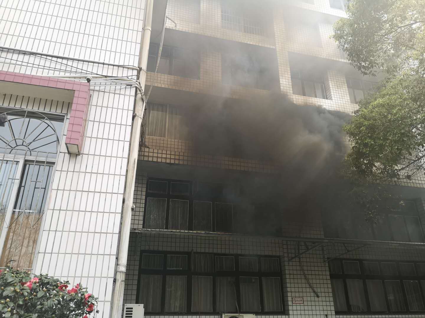 2019040151415049 2019040151415049.jpg?v=1764818132086