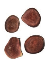 pagenumber_ebook=261,pagenumber_book=248