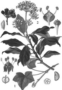 pagenumber_ebook=185,pagenumber_book=185