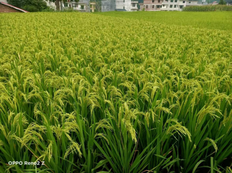 图片 20 图片 20.png