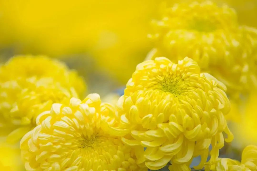 6e7fb09c3dbbcc17ab24595f9203c87f 6e7fb09c3dbbcc17ab24595f9203c87f.jpg