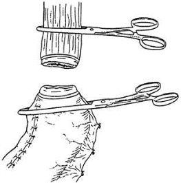 pagenumber_ebook=135,pagenumber_book=120