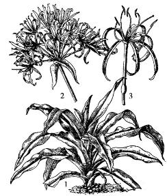 pagenumber_ebook=217,pagenumber_book=217