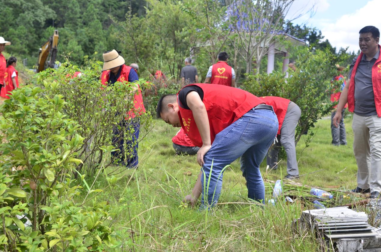 image39 image39.jpeg