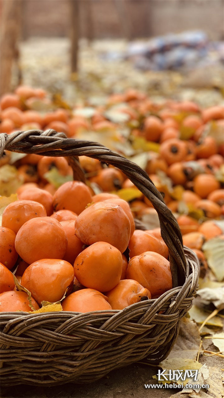 微信图片_20201213104856 微信图片_20201213104856.jpg