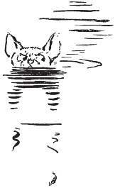 pagenumber_ebook=56,pagenumber_book=48