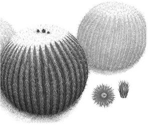 pagenumber_ebook=228,pagenumber_book=228