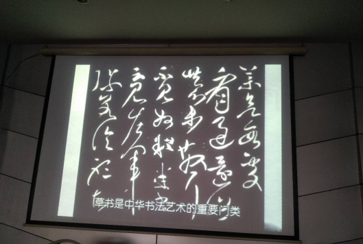 image image.png?v=1762464082720