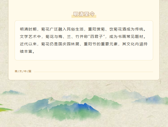 image.png?v=1762100057603