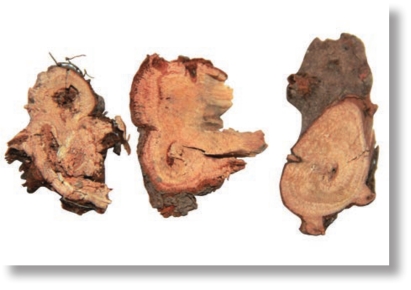 pagenumber_ebook=166,pagenumber_book=153