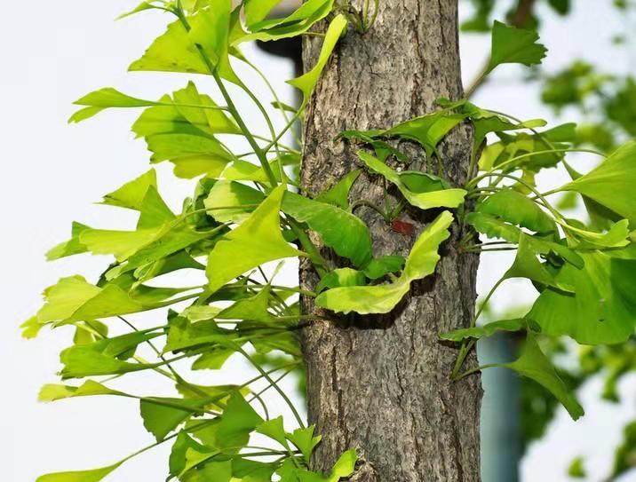 172e7b2a215566206de2b976e153917