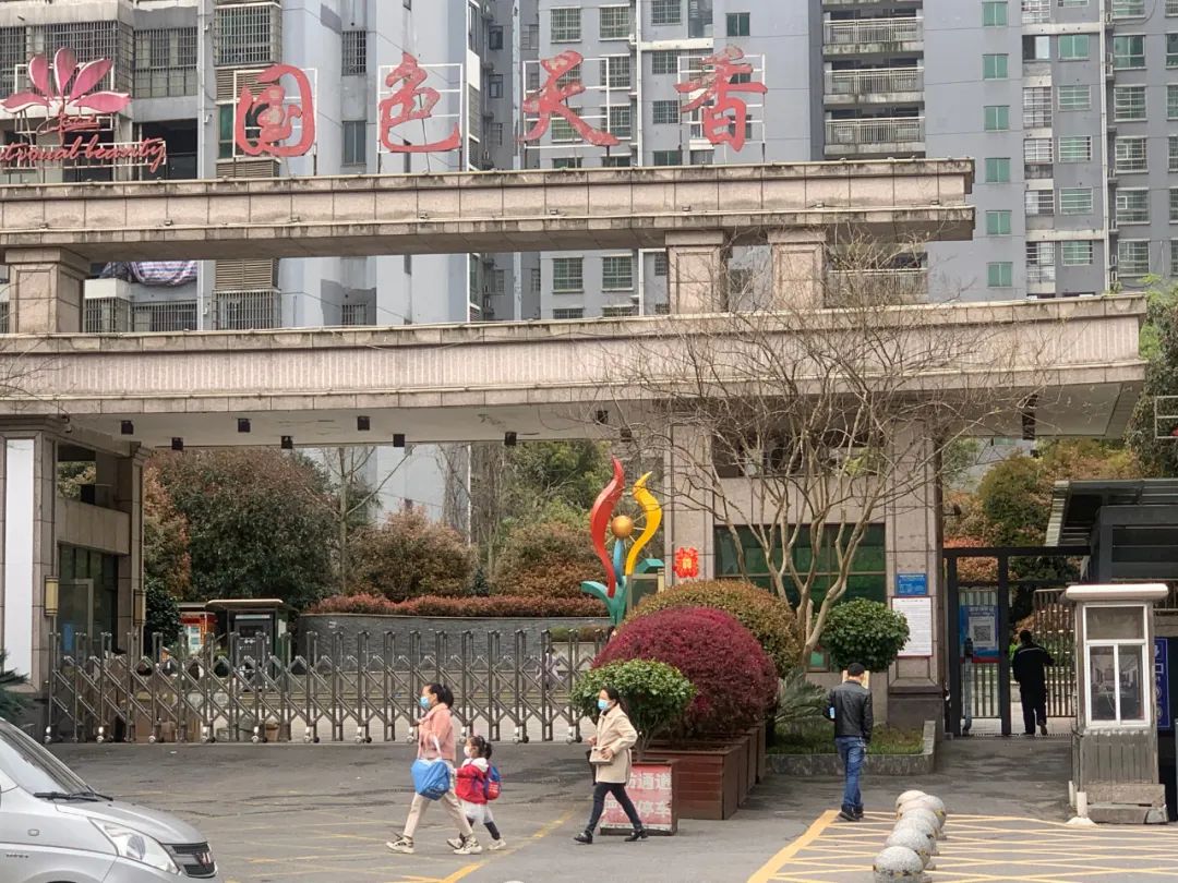 1 1.jpg?v=1765771983039