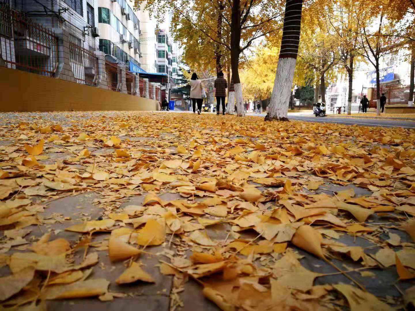 微信图片_20201214183223