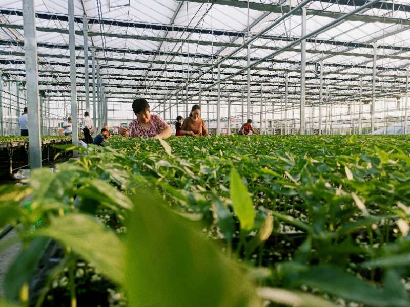 微信图片_20200824090503