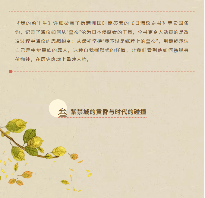 image.png?v=1762073801073