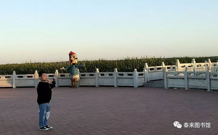 2345_image_file_copy_5