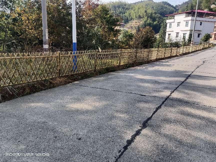 image14 image14.jpeg