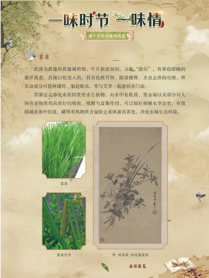 image.png?v=1782174181266