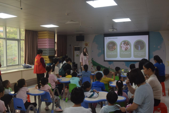 image image.png?v=1772869033755