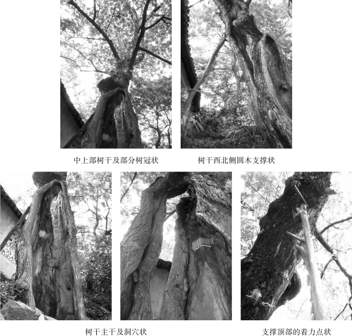 pagenumber_ebook=86,pagenumber_book=86