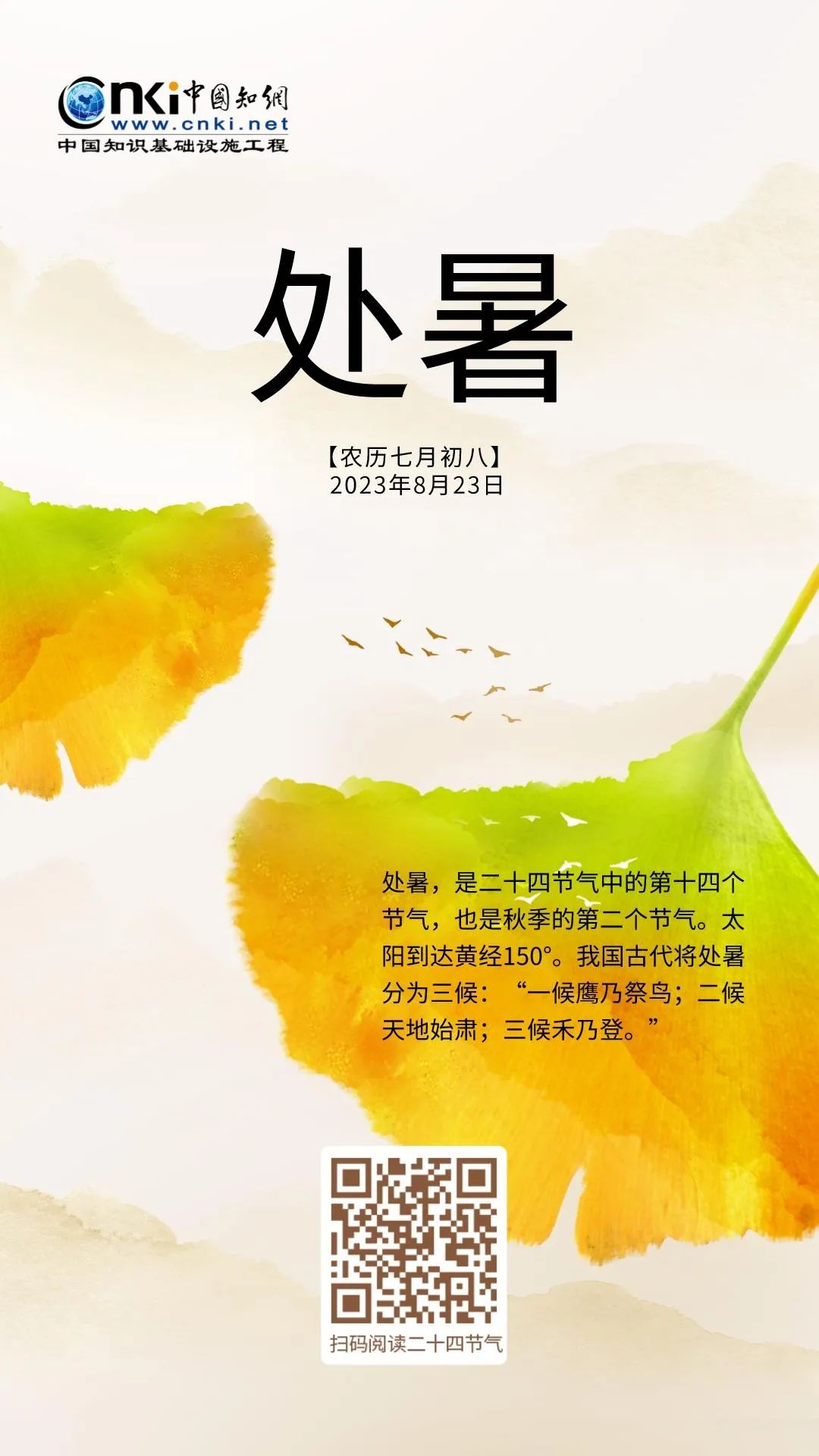 推 推.jpg?v=1765914251599