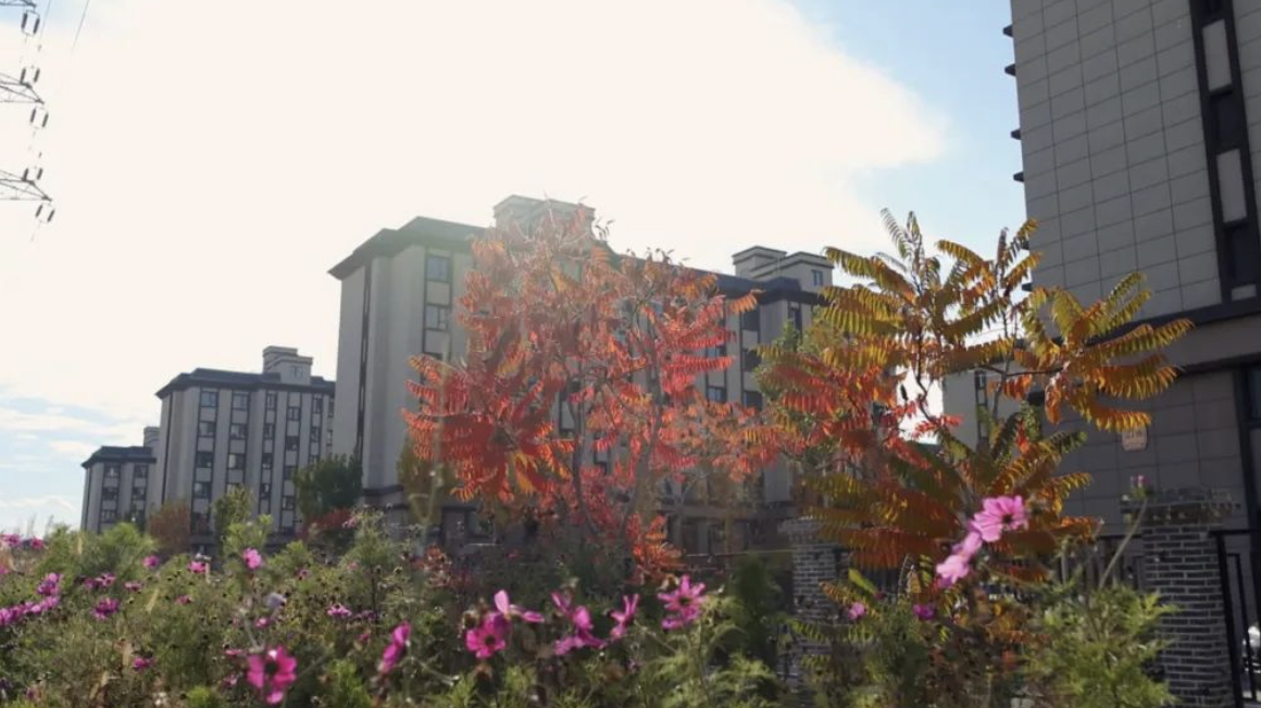 截屏2023-12-25 17.53.06