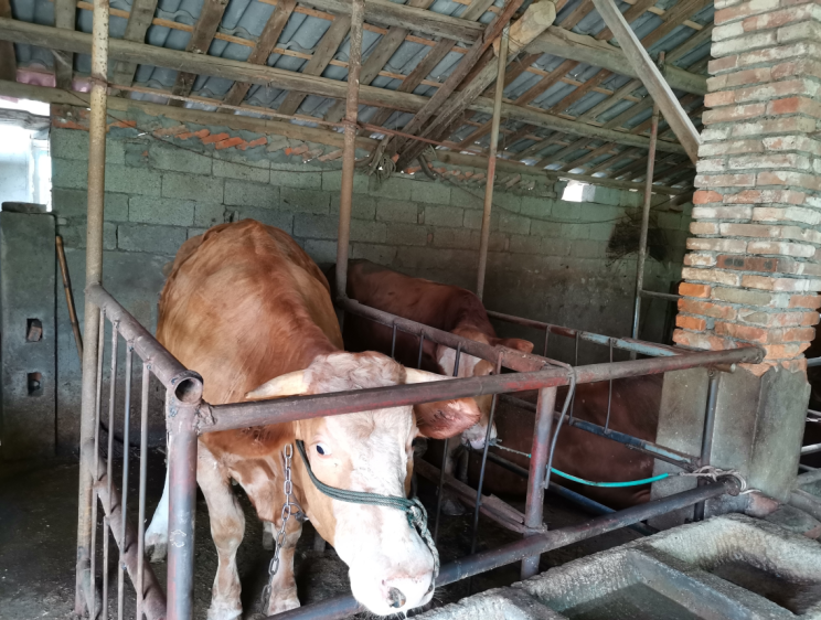 微信截图_20220901171659 微信截图_20220901171659.png?v=1765811572214