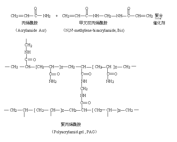 全屏显示课程章节