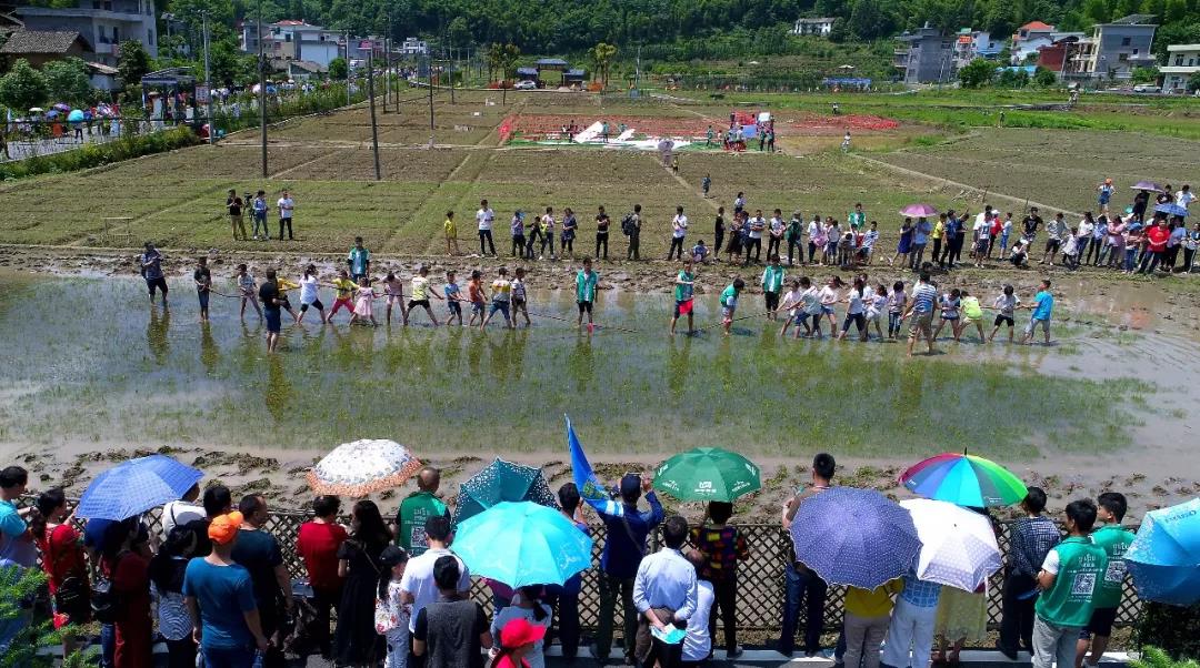 微信图片_20200712015013 微信图片_20200712015013.jpg