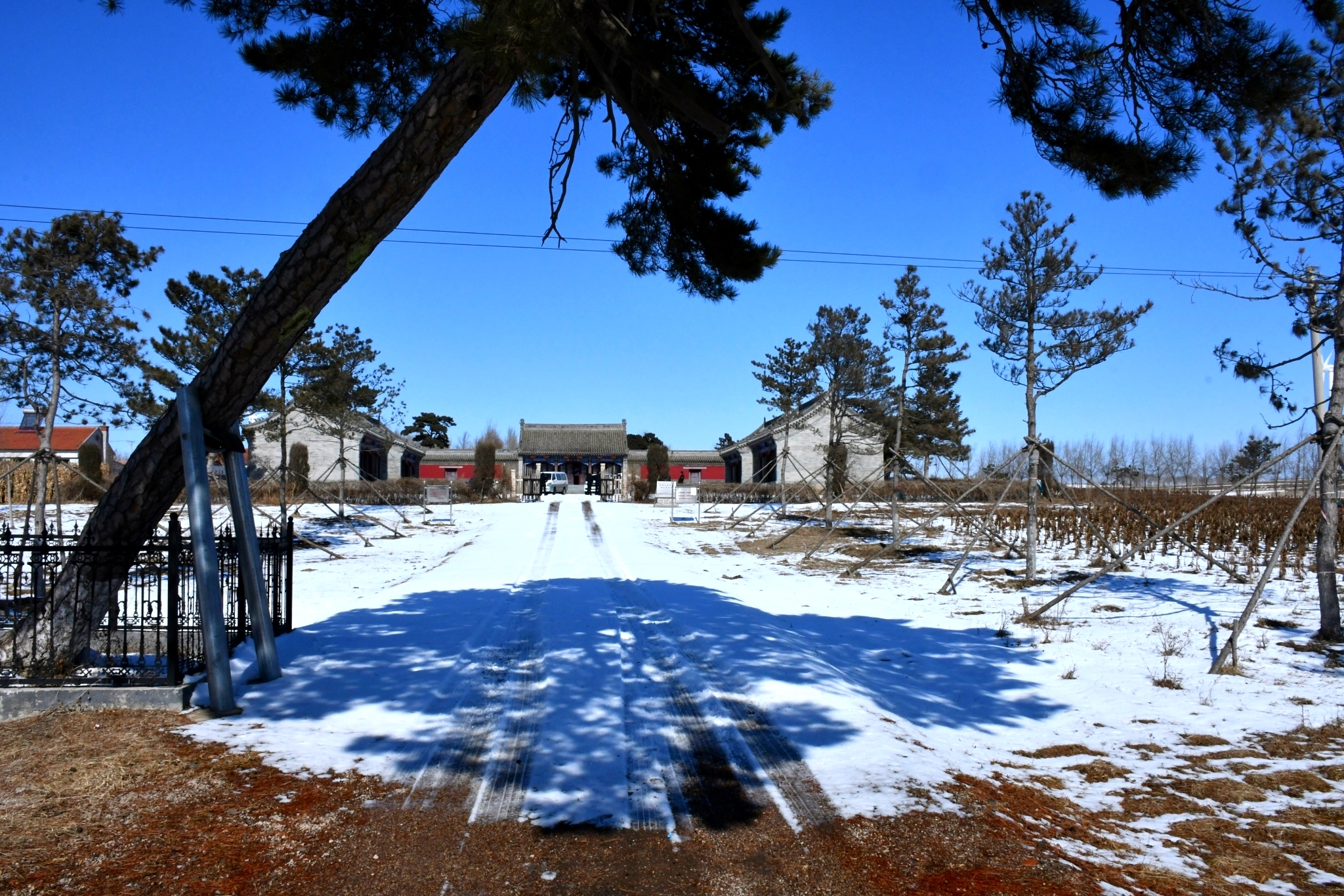 DSC_9759 DSC_9759.jpg