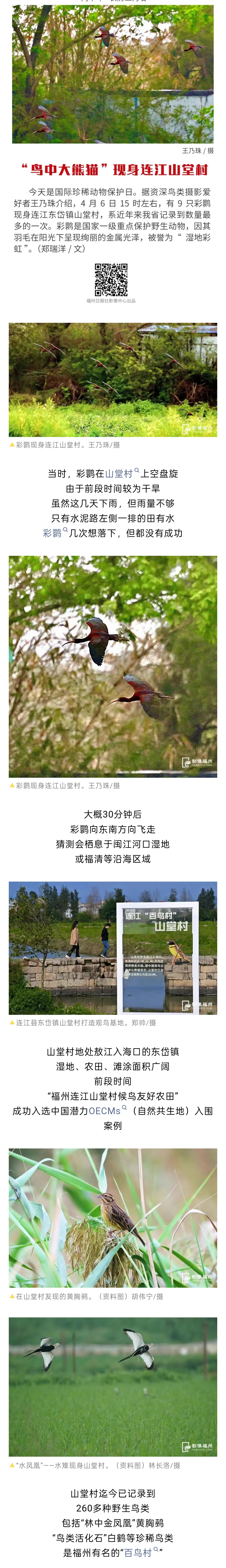 20260409【资讯】“稀客”到访！创福建记录数量之最！2jpg