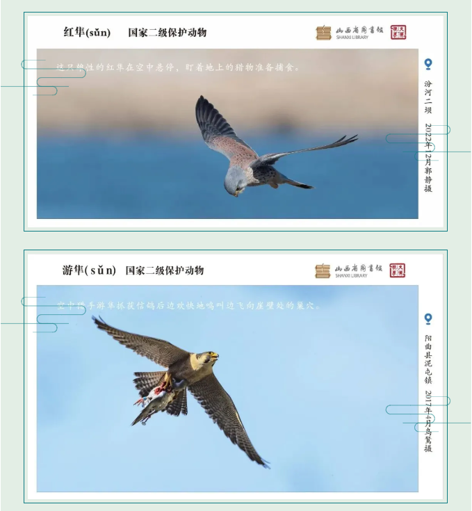 image.png?v=1757830673198