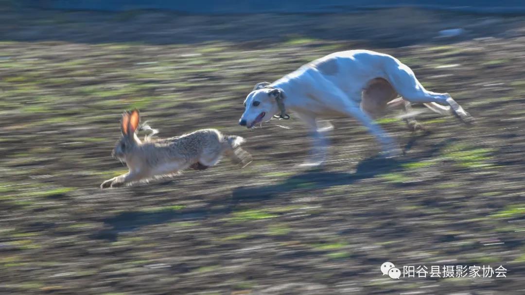 微信图片_20211222111351