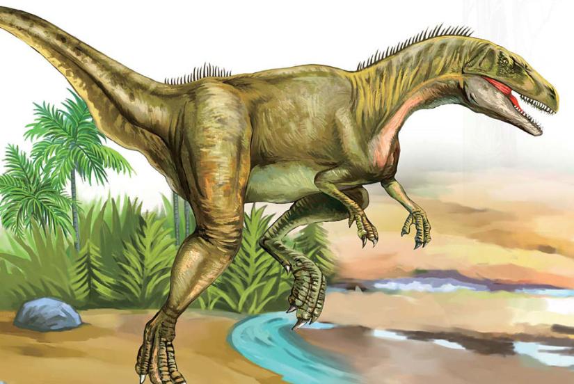 pagenumber_ebook=89,pagenumber_book=78