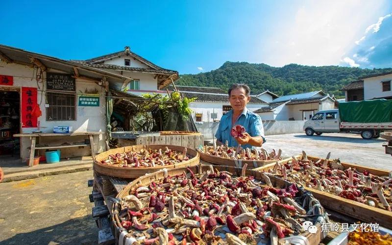 7 7.jpg?v=1765891042459