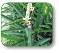 pagenumber_ebook=132,pagenumber_book=119