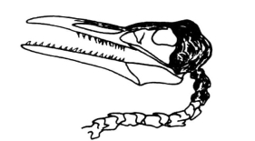 pagenumber_ebook=14,pagenumber_book=5