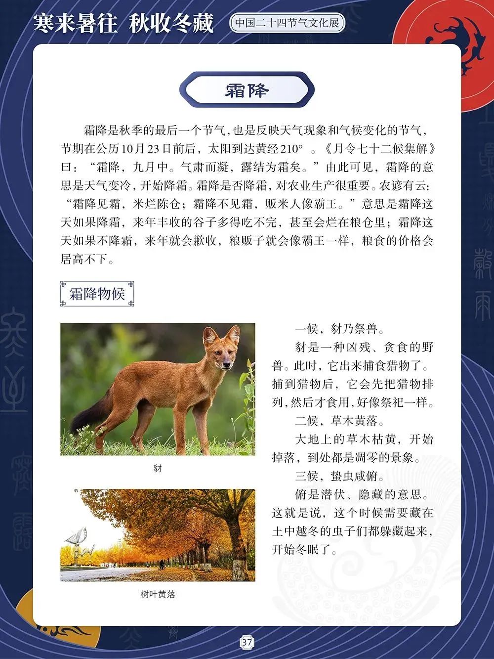 3cd446bac020bf5d4951c328a2aa28f0 3cd446bac020bf5d4951c328a2aa28f0.jpg