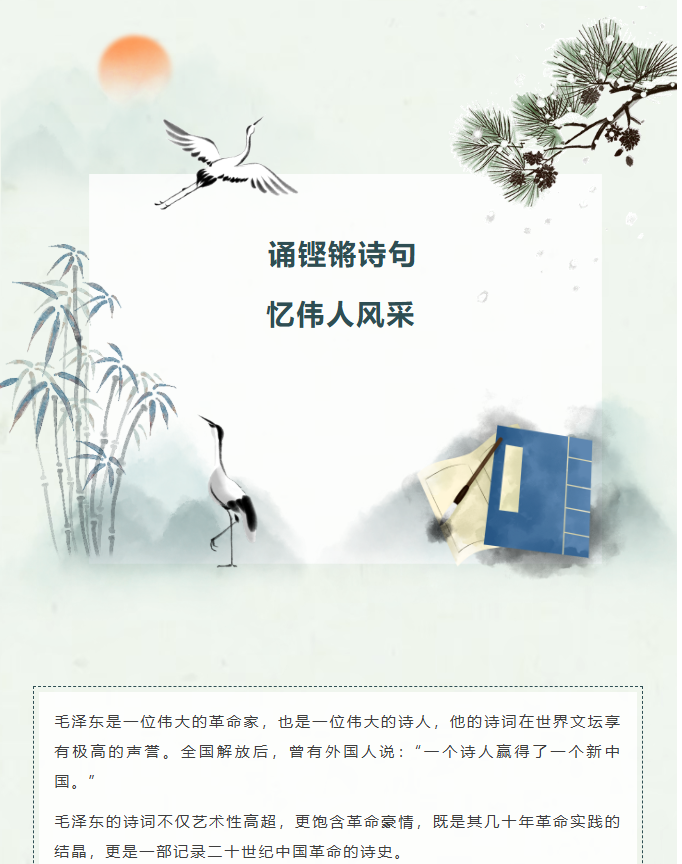 image.png?v=1770177938811