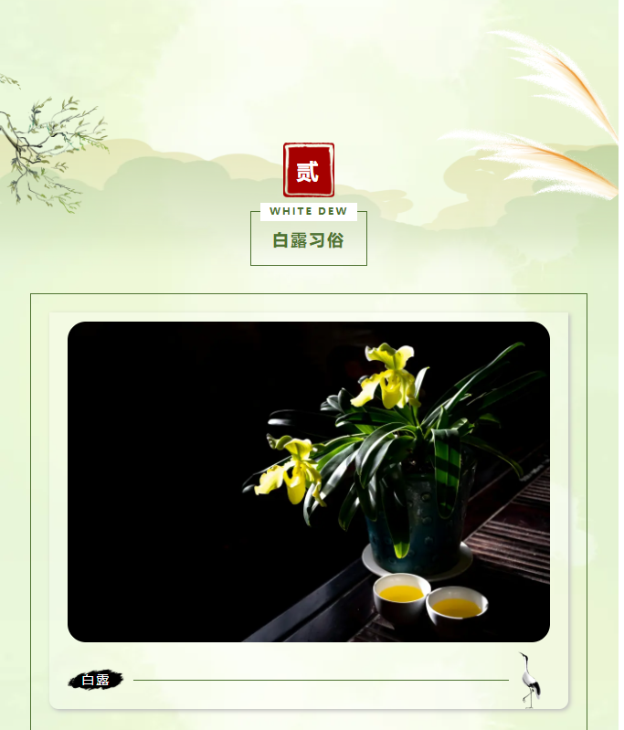 image.png?v=1757819382200