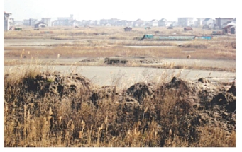 pagenumber_ebook=79,pagenumber_book=64