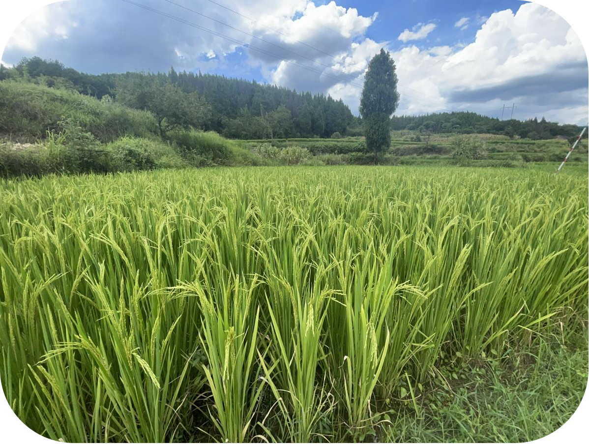 图片58 图片58.png