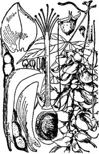 pagenumber_ebook=187,pagenumber_book=187